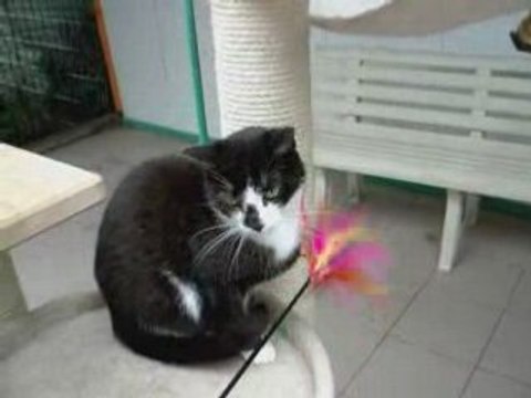 Volga, au refuge depuis 2005