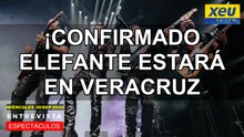 ¡Confirmado! Elefante estará en Veracruz