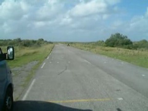 karting 100cc foufoune