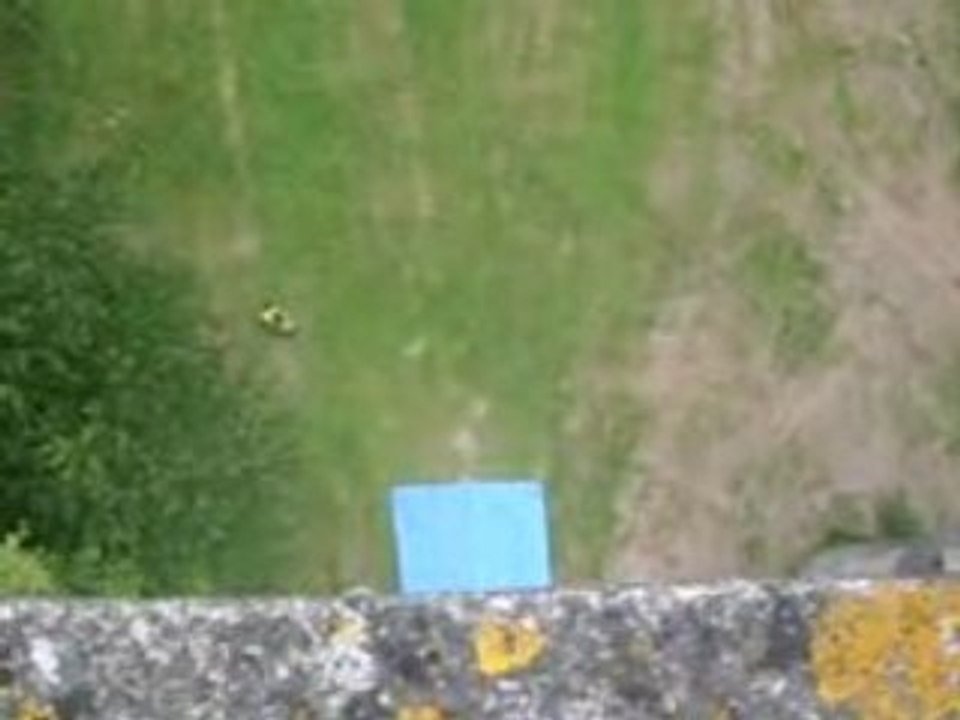 saut à l'élastique