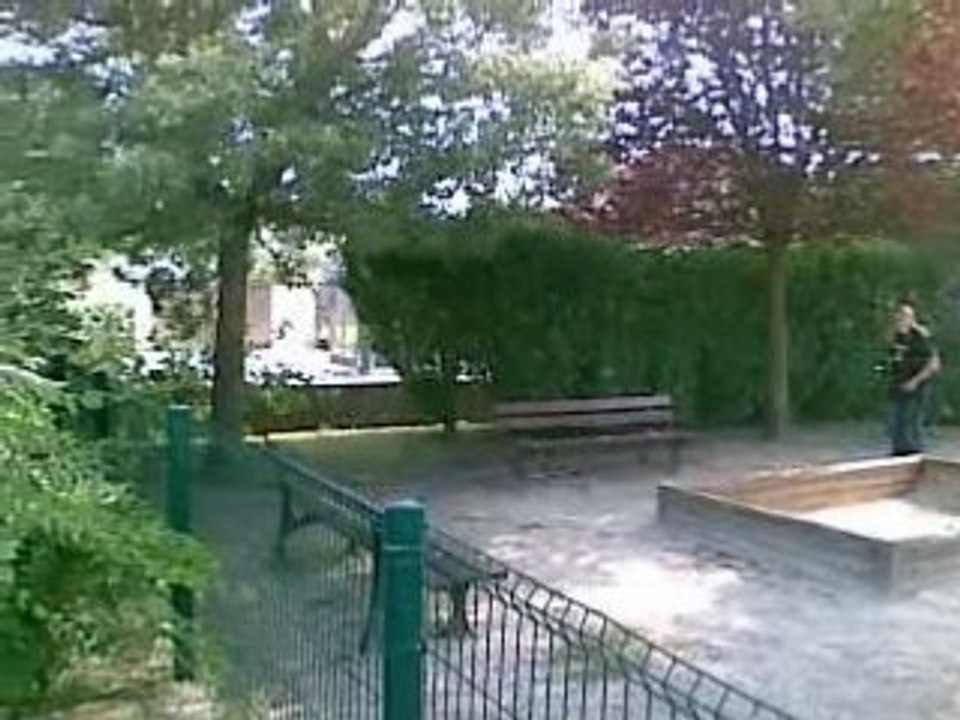 Vert-skateboarding & Jackass buisson