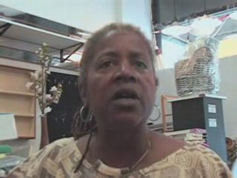Nellie H. Bailey NYCHA Commentary