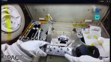 How Plants Are Being Grown In Space By Shenzhou 14 Astronauts:  Knowledge
