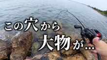 ゴロタ堤防の穴釣りでカサゴ連発　岩の隙間を探ると重い引きが来た