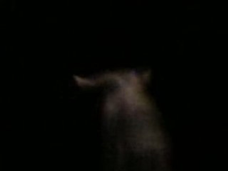 Sur Loulou le jeudi 17