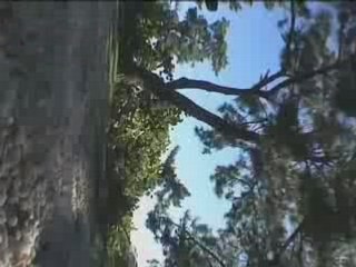 Through the Looking Glass Surf Trailer