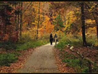 Asli güngör - bu son mektup