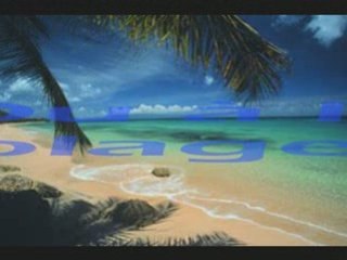 Vias Plage 2008__2009