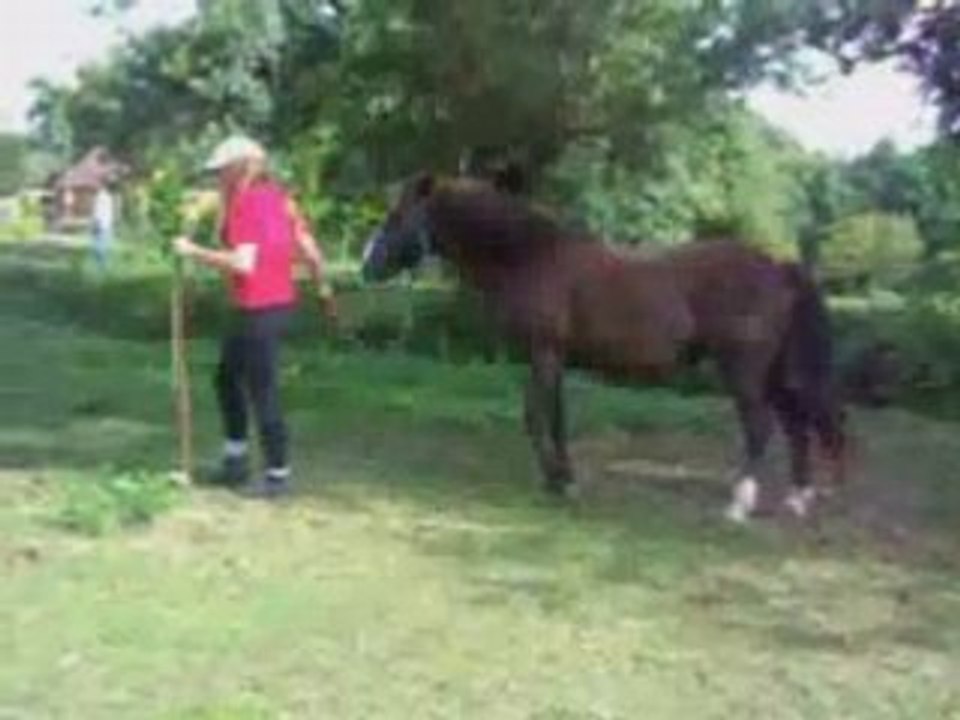 Leonalibe