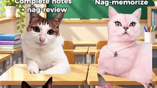 Exam day