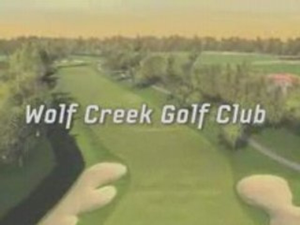 Tiger Woods 09 - features