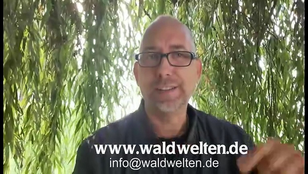 Waldwelten 2026 | bist du bereit für den wettbewerb?