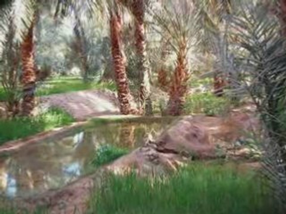 algeria