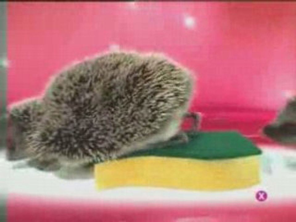 Publicite Spontex Diabolik