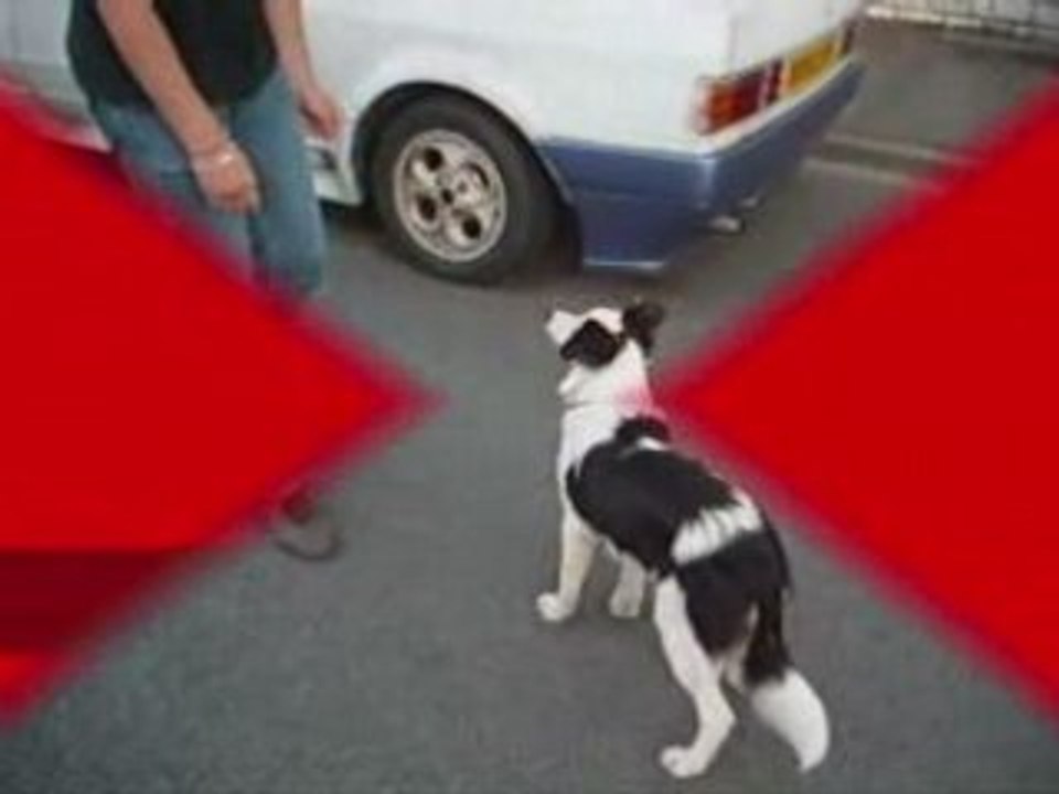Vidéo2_0001