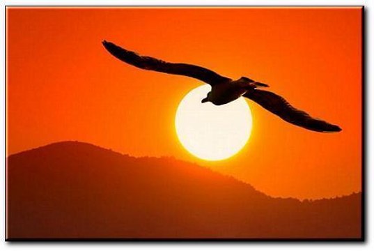 Kizito Mihigo - Vive le Rwanda, Vive la France, Vive la Paix