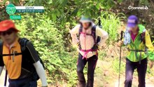산에서 도토리 주웠다가 과태료 폭탄? 함부로 줍지 마세요!