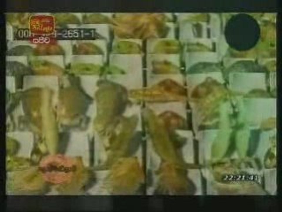 doramadalawa part-1