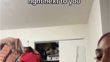 Funny dog trend gets a sweet reaction as the pup tries to get noticed