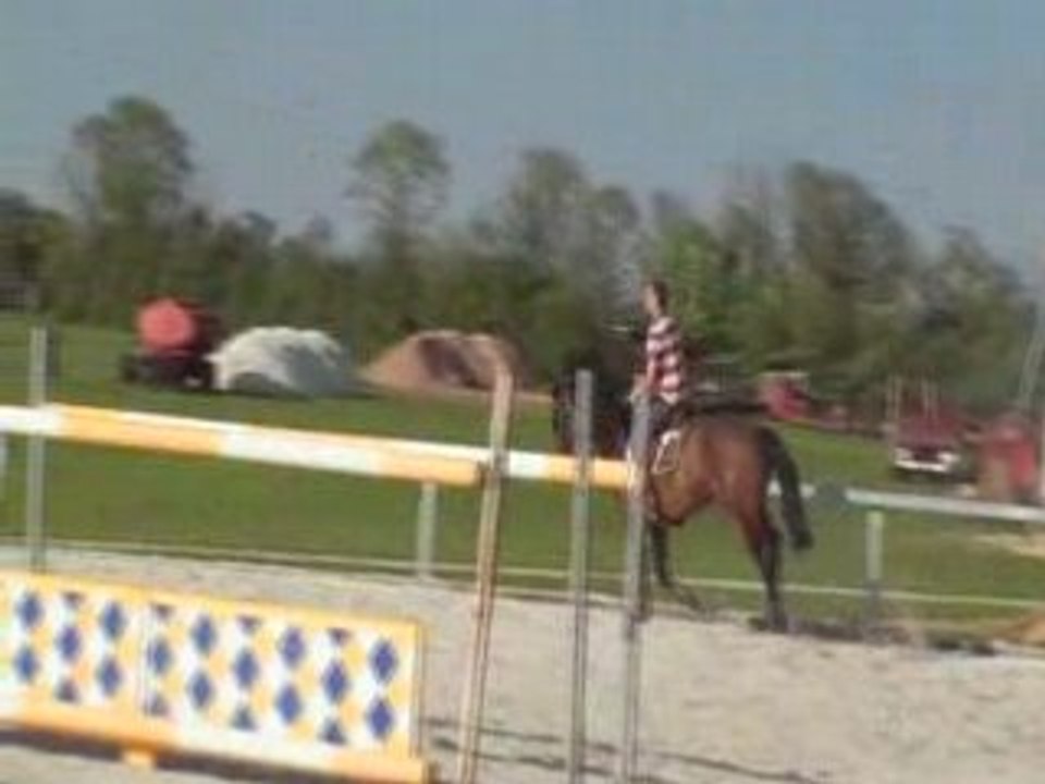 CHEVAL KWPN 6 ans CSO x Orame x IndoctroCHEVA