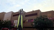 Los bomberos rescatan un buitre