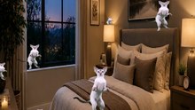 Are you able to notice all 10 cats in the video??? 🐱🤔