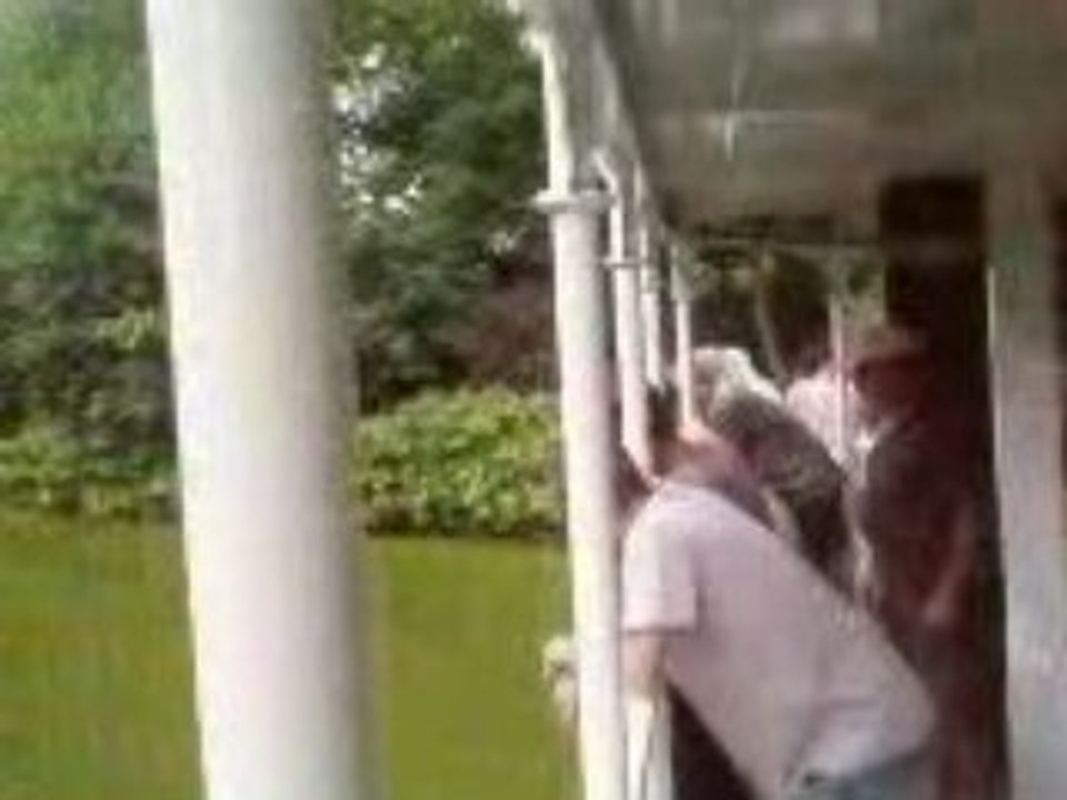 NIGLOLAND 11