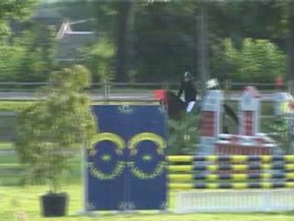 Jument à vendre KWPN 4 ans, CSO, gros potentiel