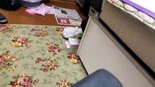 9/30暴露回 4545告白