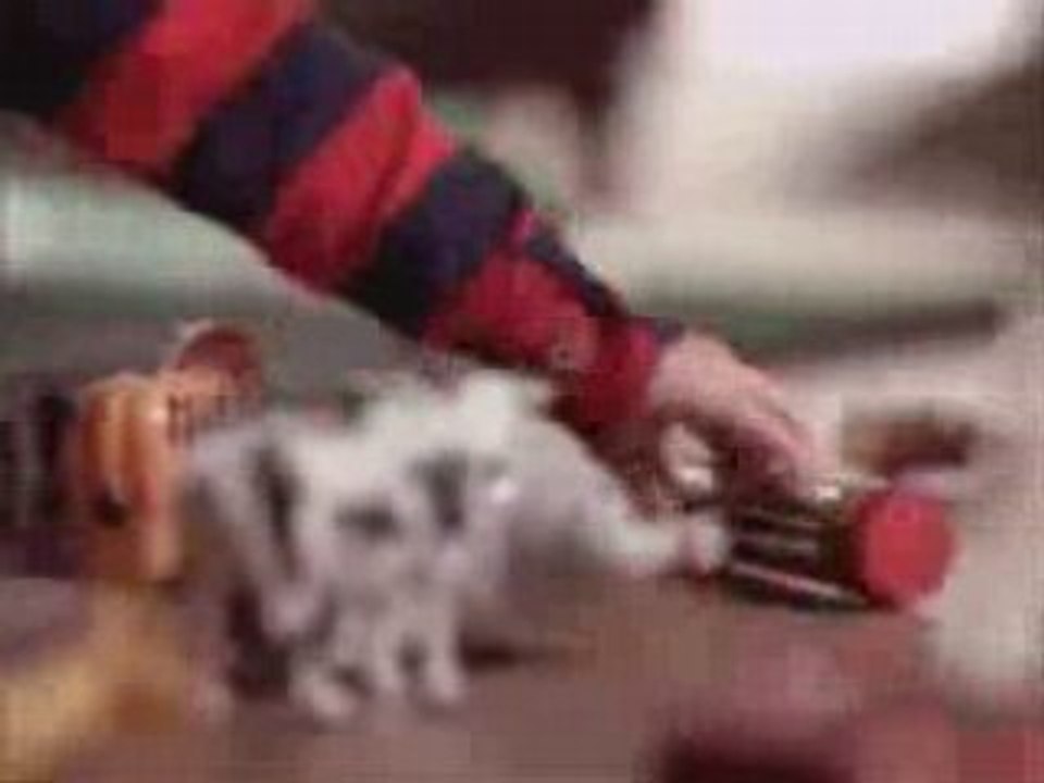 Kid has a new toy