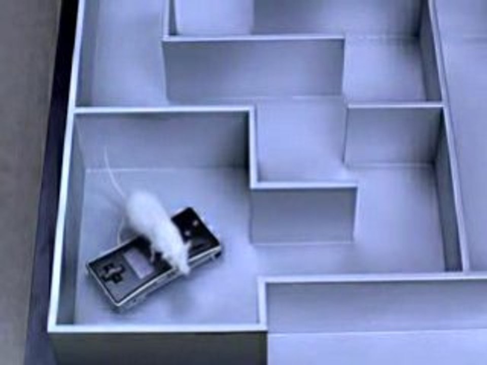 Pub Game Boy Micro France