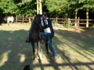 Débourrage Flashy Wolf