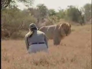 MAN VS LION !!  (Amazing Vidéo )
