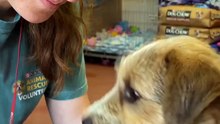 Nervous Rescue Puppy Takes His First Treat 🥹🐾