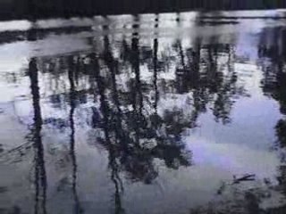 Bit pull feat. ivo lution - castle of grace