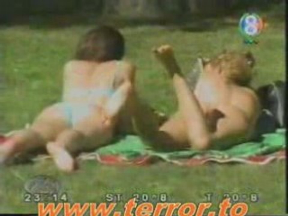 Un chien coquin