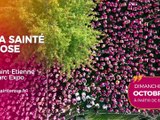 Agenda des Sorties du 2 au 4 octobre 2026