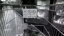 पेट भरता ही नहीं || आचार्य प्रशांत