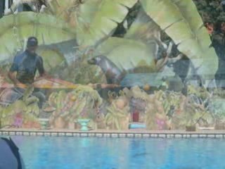 Vacance  a Nice 2008