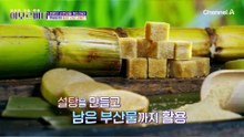 빈민의 나라이던 쿠바가 장수의 나라로 거듭난 비결은?