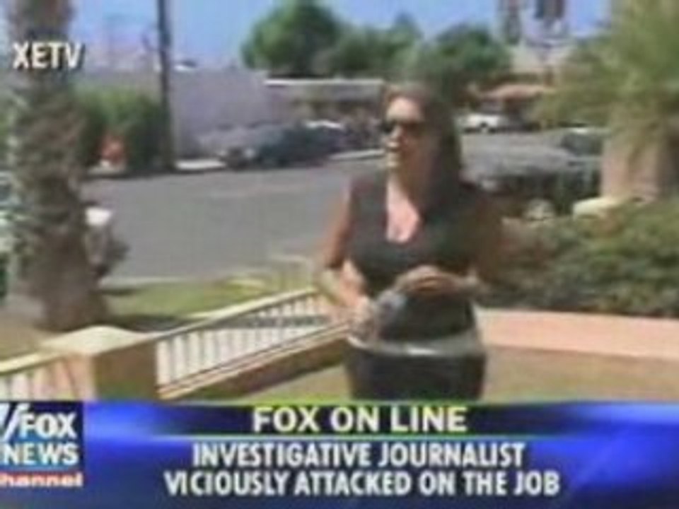 Reporter Compilation