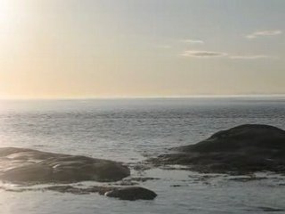 MVI_4490