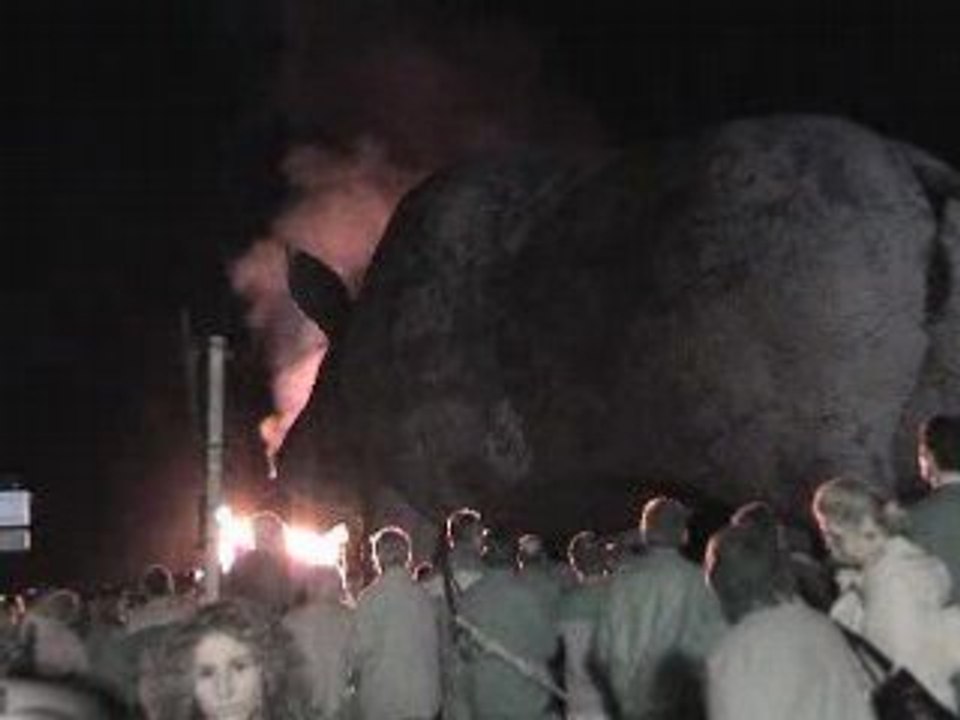 woinic sanglier champagne ardennes plus gros du monde