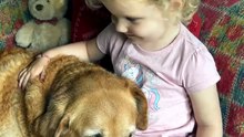 Rescue Dog Rests Head on Child's Lap, Drifts to Sleep 🥹🐾