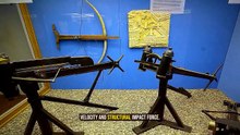 Why Carthaginian Engineers Shaved Warhorse Tails for Catapults