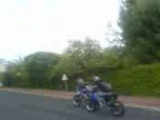 top rose course entre 2 dt