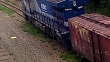 Complete in the yard (Completo no pátio)