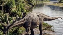 Bajadasaurus — The Dinosaur With Spikes Pointing Toward Its Own Head