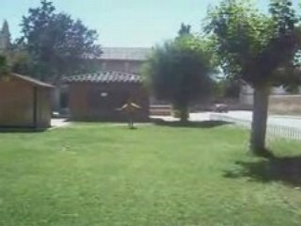 Alfonso vacaciones 0'8