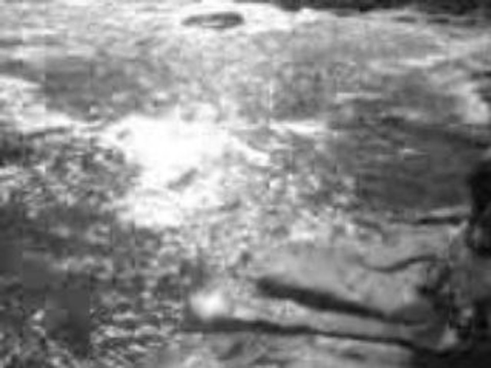 MOV00494